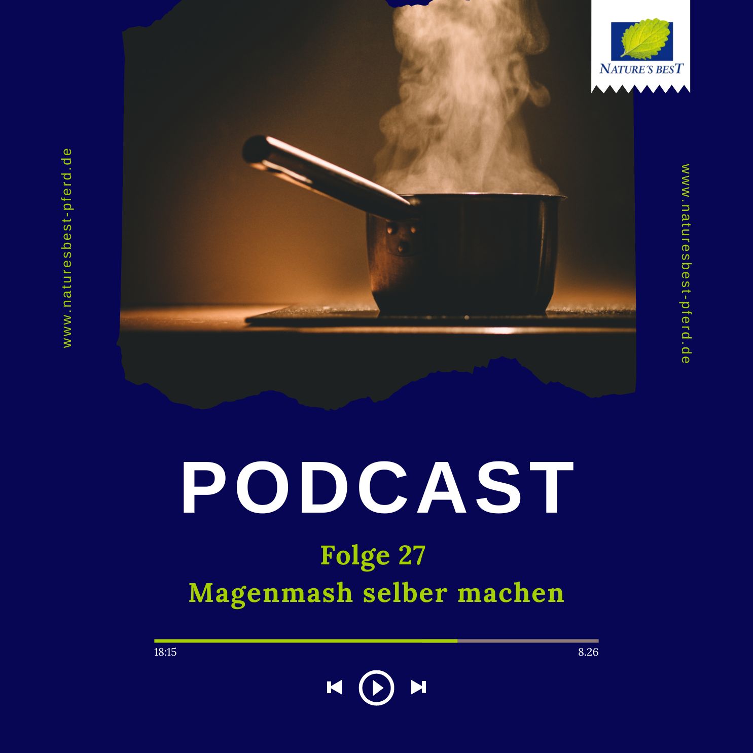 #27 Magenmash selber kochen