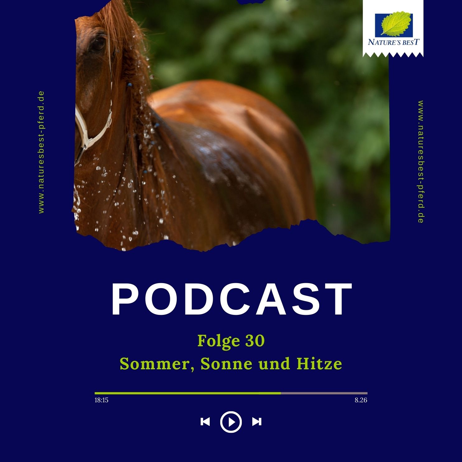 #30 Sommer, Sonne und Hitze #30 Sommer, Sonne und Hitze